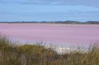 Pink lake, just south of Kalbarri National Park
