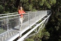 Nikki on the Treetop Walkway, Valley of the Giants