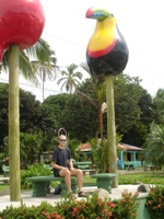 Ian under a giant toucan and macaw in Tortuguero