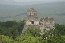 View of Templo I and II from Templo IV, Tikal