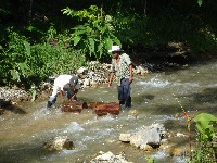 Workers moving logs down the river at Finca El Cisne
