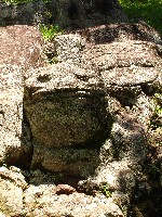 Stone carved frogs at Los Sapos
