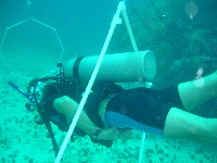 Ian practising buoyancy by swimming through hoops
