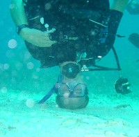 Now which way is the surface?!?