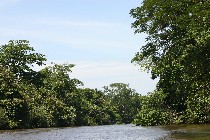 The river border between Nicaragua and Costa Rica on the Rio Frio