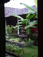 A rainy courtyard in the Hospedaje La Libertad