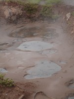 Bubbling mud pools at San Jacinto