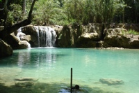 One of the pretty swimming pools at Kouang Si Waterfall, near Luang Prabang