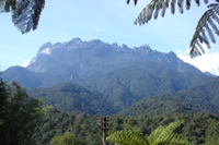 Last view of Mt Kinabalu from our balcony, Sabah
