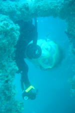 Nikki in the wreck, Sugar Wreck, Pulau Perhentian Besar
