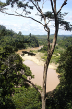 View from Bukit Teresek, Taman Negara