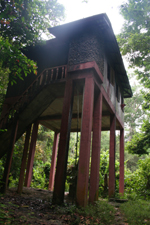 Bunbun Kambung hide, Taman Negara