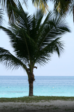 View from our chalet at Abdul's, Pulau Perhentian Besar