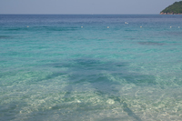 Palm tree shadow on clear water in front of Abdul's Chalets, Pulau Perhentian Besar