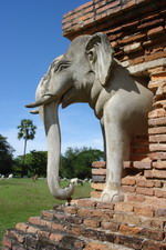 Stone Elephant decorating Wat Sorasak, Old Sukhothai