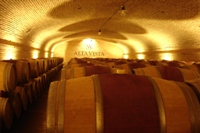Wine barrels in the cellar of Alta Vista, Lujan de Cuyo