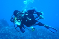 Nikki diving, Easter Island