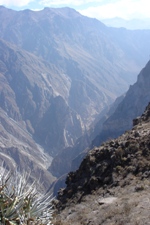 Cruz del COndor (without any condors :-( ), Colca Canyon