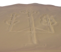 Candelabra geoglyph, on boat trip to Islas Ballestas