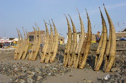 Reedboats in Huanchaco